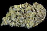 Sandwich Wulfenite Crystal Cluster - Ojuela Mine, Mexico #103499-1